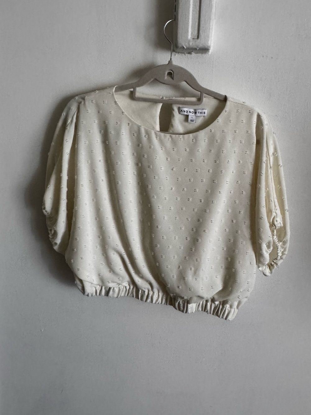 And Now This Cream Eyelet Cropped Puff Sleeve Top